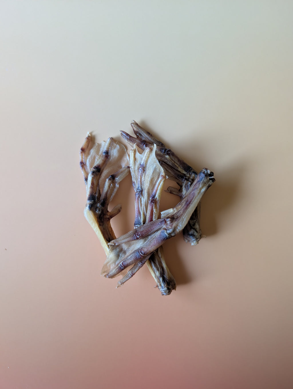 Duck Foot