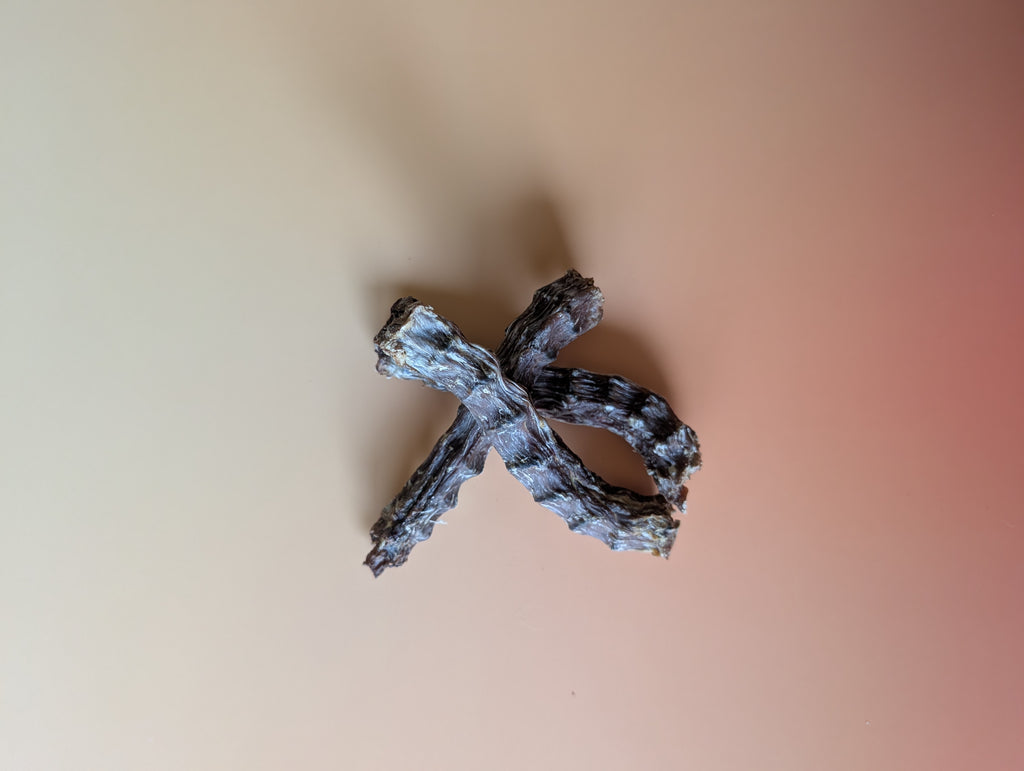 Duck Neck