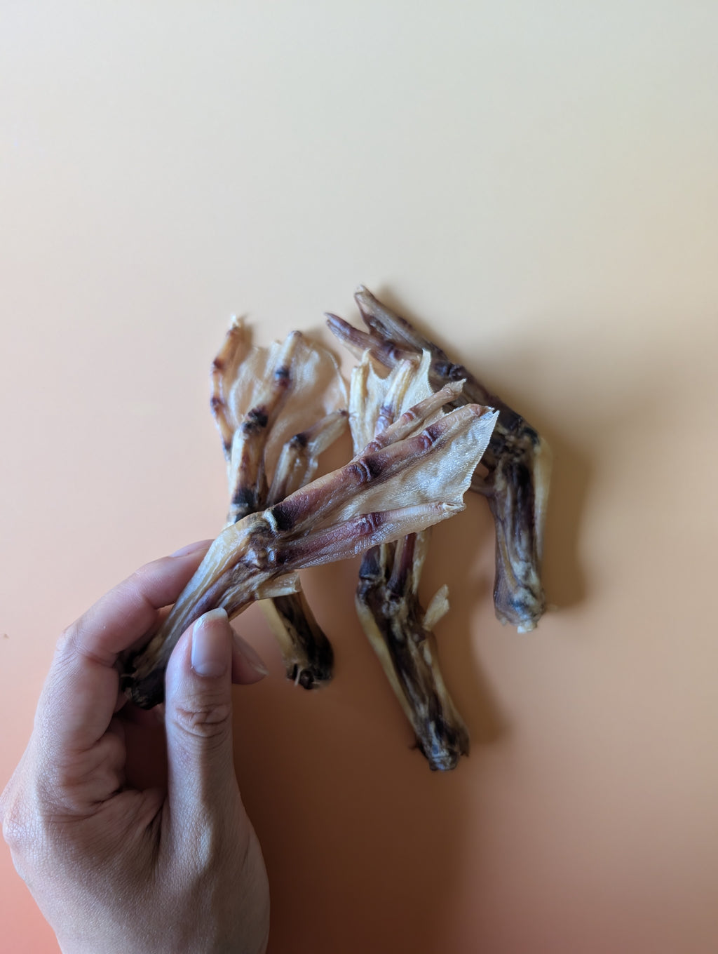 Duck Foot